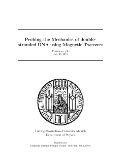 stranded DNA using Magnetic Tweezers