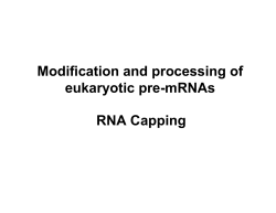 RNA Capping