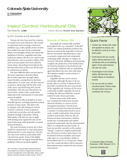 Insect Control: Horticultural Oils - Colorado State University Extension