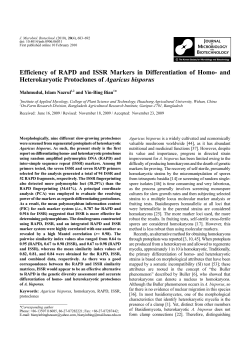 Efficiency of RAPD and ISSR Markers in Differentiation of Homo
