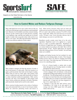 How to Control Moles and Reduce Turfgrass Damage