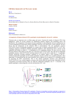 CD SPECTROSCOPY OF NUCLEIC ACIDS