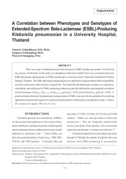 A Correlation between Phenotypes and Genotypes of Extended