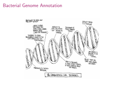 Biology 3S03: Bioinformatics