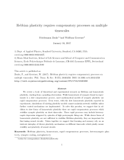 Hebbian plasticity requires compensatory processes on multiple