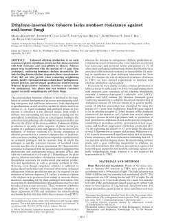 Ethylene-insensitive tobacco lacks nonhost resistance against soil