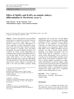 Effect of MgSO4 and K2SO4 on somatic embryo differentiation in