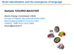 Brain lateralization and the emergence of language