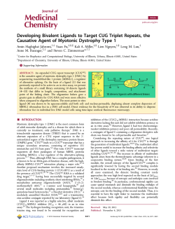 Developing Bivalent Ligands to Target CUG Triplet Repeats, the