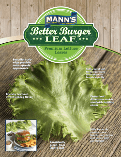 the Brochure