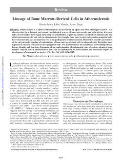 Lineage of Bone Marrow&ndash;Derived Cells in Atherosclerosis