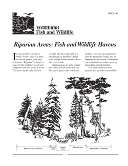 Riparian Areas: Fish and Wildlife Havens