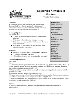 Squirrels: Servants of the Seed