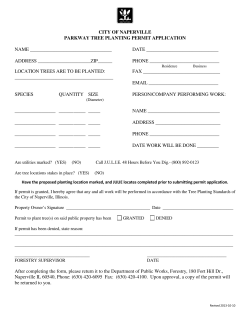 Parkway Tree Planting Permit