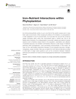 Iron&ndash;Nutrient Interactions within Phytoplankton
