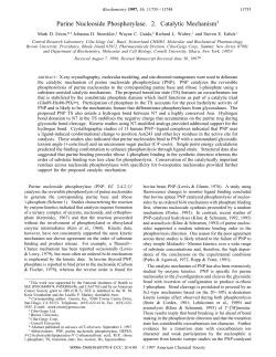 Purine Nucleoside Phosphorylase. 2. Catalytic Mechanism†