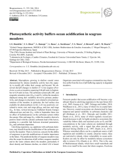Photosynthetic activity buffers ocean acidification