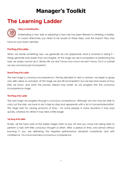 Manager׳s Toolkit The Learning Ladder