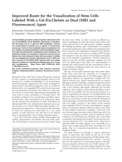 Improved Route for the Visualization of Stem Cells Labeled With a