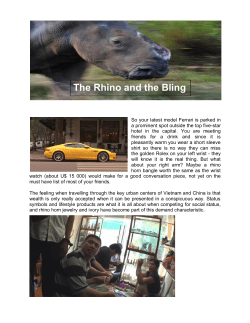The Rhino and the Bling