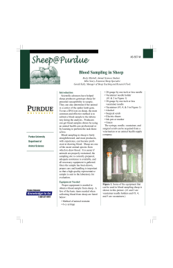 Blood Sampling in Sheep - Purdue Extension