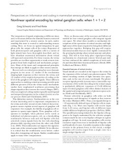 Nonlinear spatial encoding by retinal ganglion cells: when 1 + 1 &ne; 2