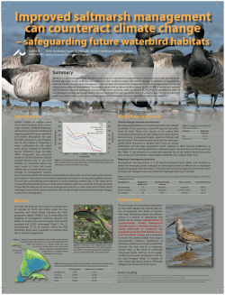 Improved saltmarsh management can counteract climate change