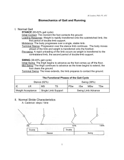 Biomechanics of Gait and Running I. Normal Gait II. Normal Stride