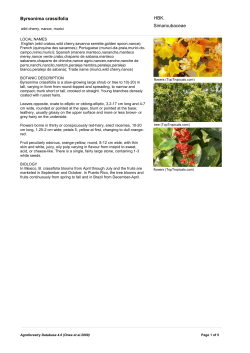 Byrsonima crassifolia - World Agroforestry Centre