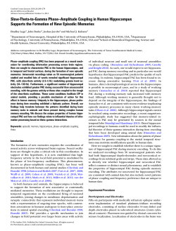 Slow-Theta-to-Gamma Phase&ndash;Amplitude Coupling in Human