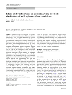 Effects of chytridiomycosis on circulating white blood cell