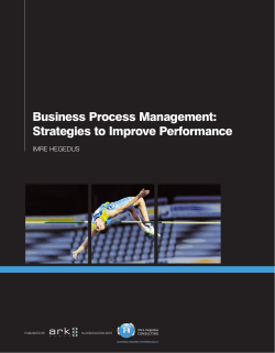 Business Process Management: Strategies to