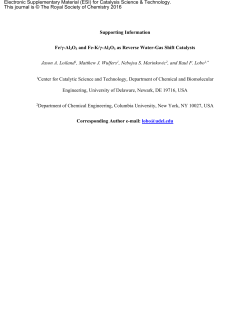 Supporting Information Fe/&gamma;-Al2O3 and Fe-K/&gamma;