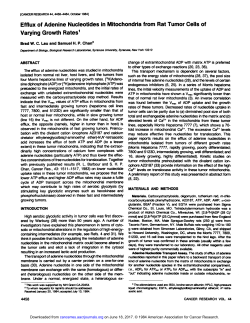 Efflux of Adenine Nucleotides in Mitochondria