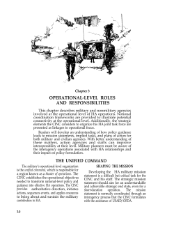 operational-level roles and responsibilities