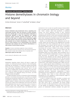 Histone demethylases in chromatin biology and