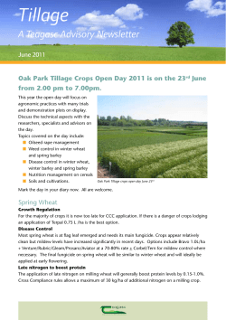 Tillage Newsletter