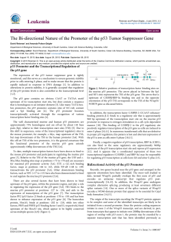 Peer-reviewed Article PDF - e