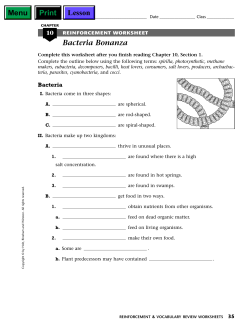 Bacteria Bonanza