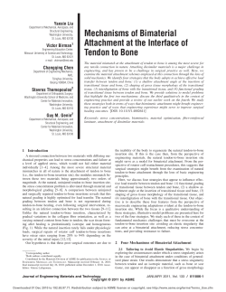 Mechanisms of Bimaterial Attachment at the Interface of Tendon to