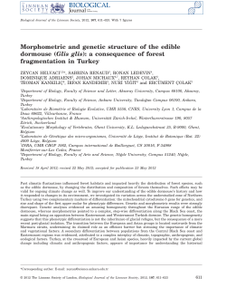 Morphometric and genetic structure of the edible dormouse (Glis glis