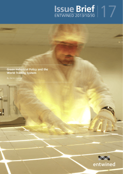 Green Industrial Policy and the World Trading System