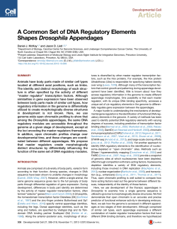 McKay DJ, Lieb JD. A common set of DNA regulatory elements