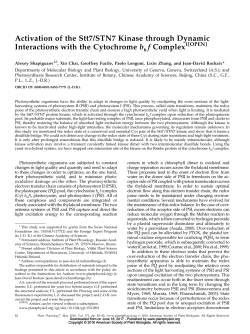 Activation of the Stt7/STN7 Kinase through