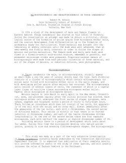 Microsporogenesis and Megasporogenesis in Tsuga Canadensis