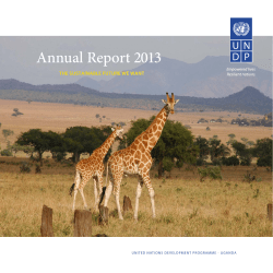 Annual Report 2013