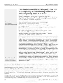 Low-carbon acclimation in carboxysome-less and