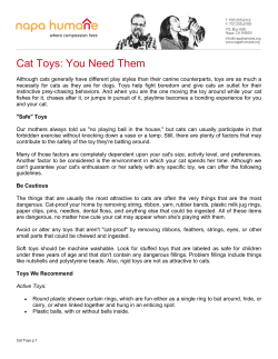 Cat Toys: You Need Them
