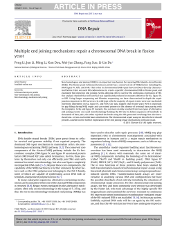 Multiple end joining mechanisms repair a chromosomal DNA break