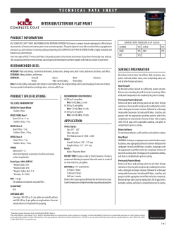 interior/exterior flat paint